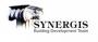 BDT SYNERGIS GROUP